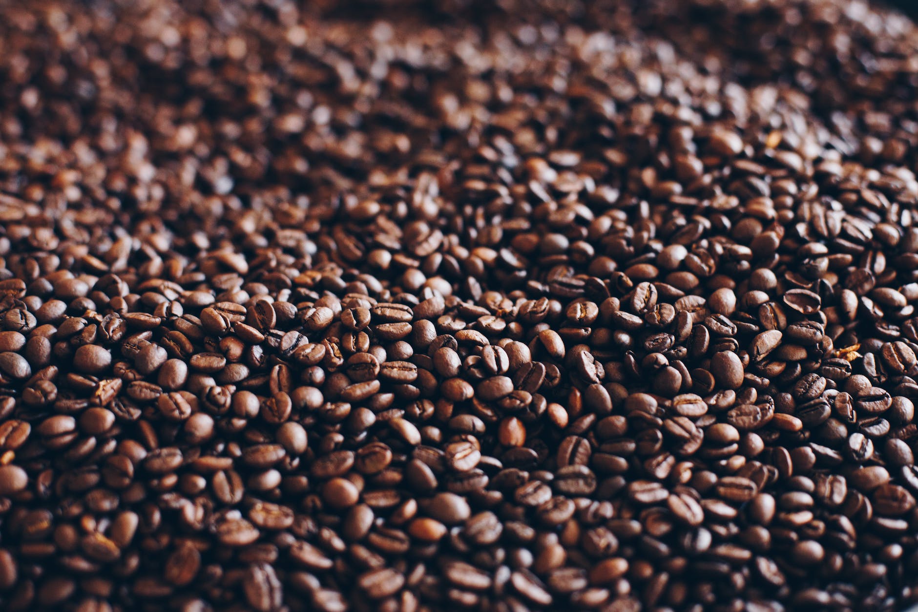 close up photography of roasted coffee beans